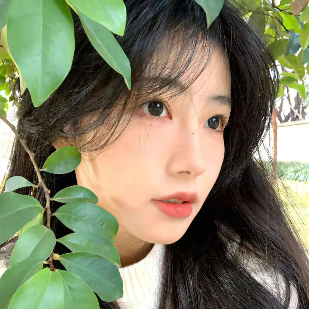 海莲娜的记忆